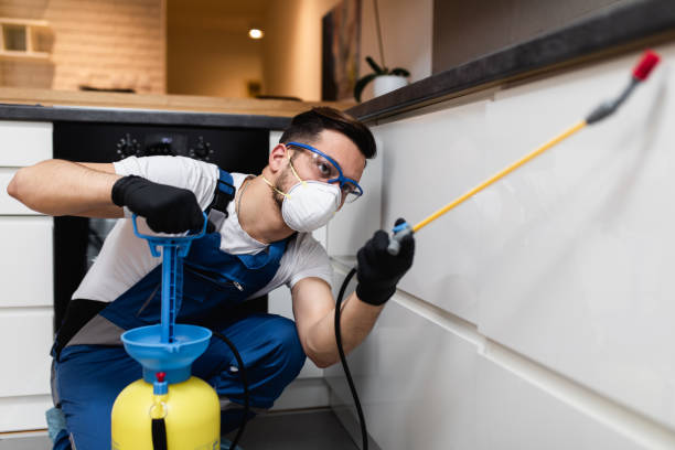 Best Local Pest Control Services  in Williams, CA