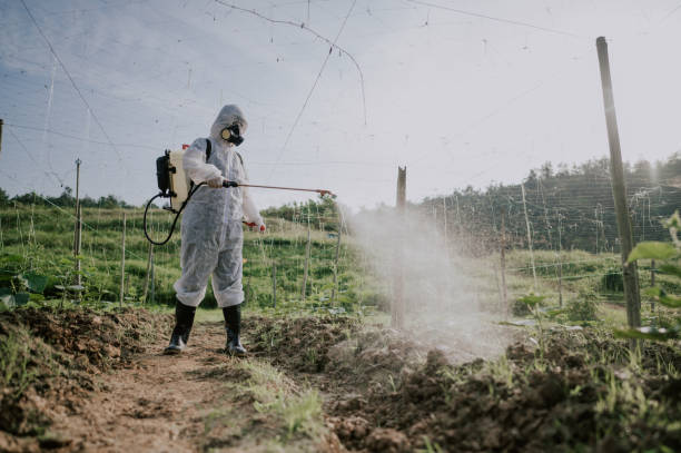 Best Pest Prevention Services  in Williams, CA