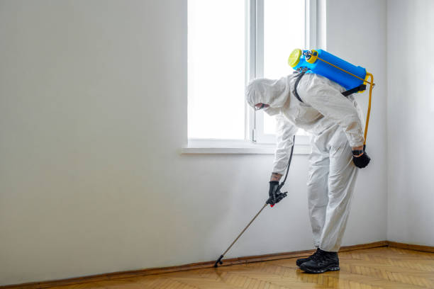 Best Mosquito Control Services  in Williams, CA