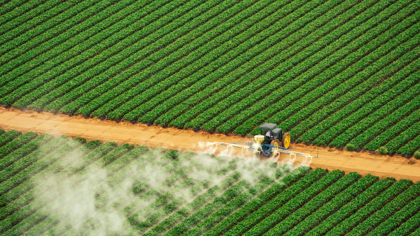 Reliable Williams, CA Pest Control Solutions